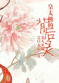 (BG/美人无泪同人)皇太极的背后灵